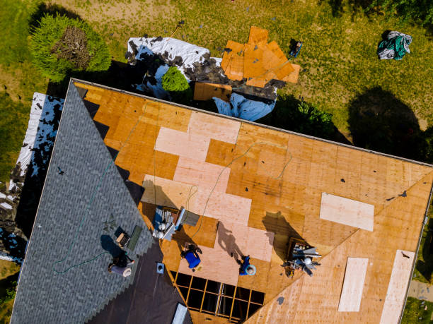 Quick and Trustworthy Emergency Roof Repair Services in Mcalmont, AR