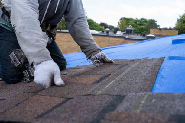 Best Roof Leak Repair  in Mcalmont, AR