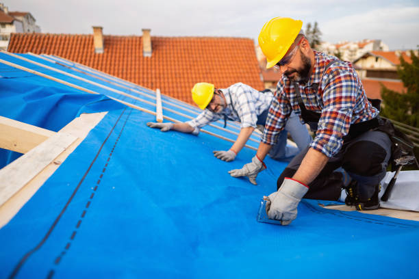 Best Residential Roofing Contractor  in Mcalmont, AR