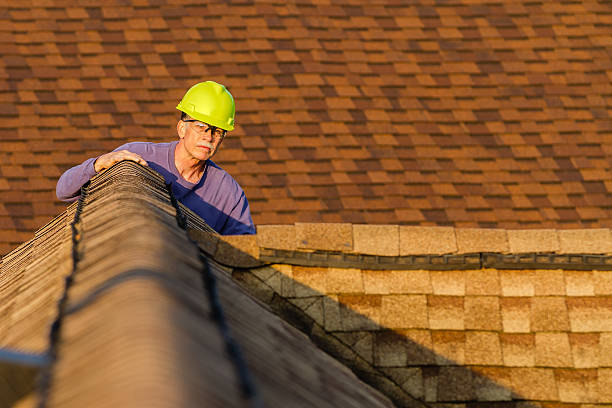 Best Roof Gutter Cleaning  in Mcalmont, AR
